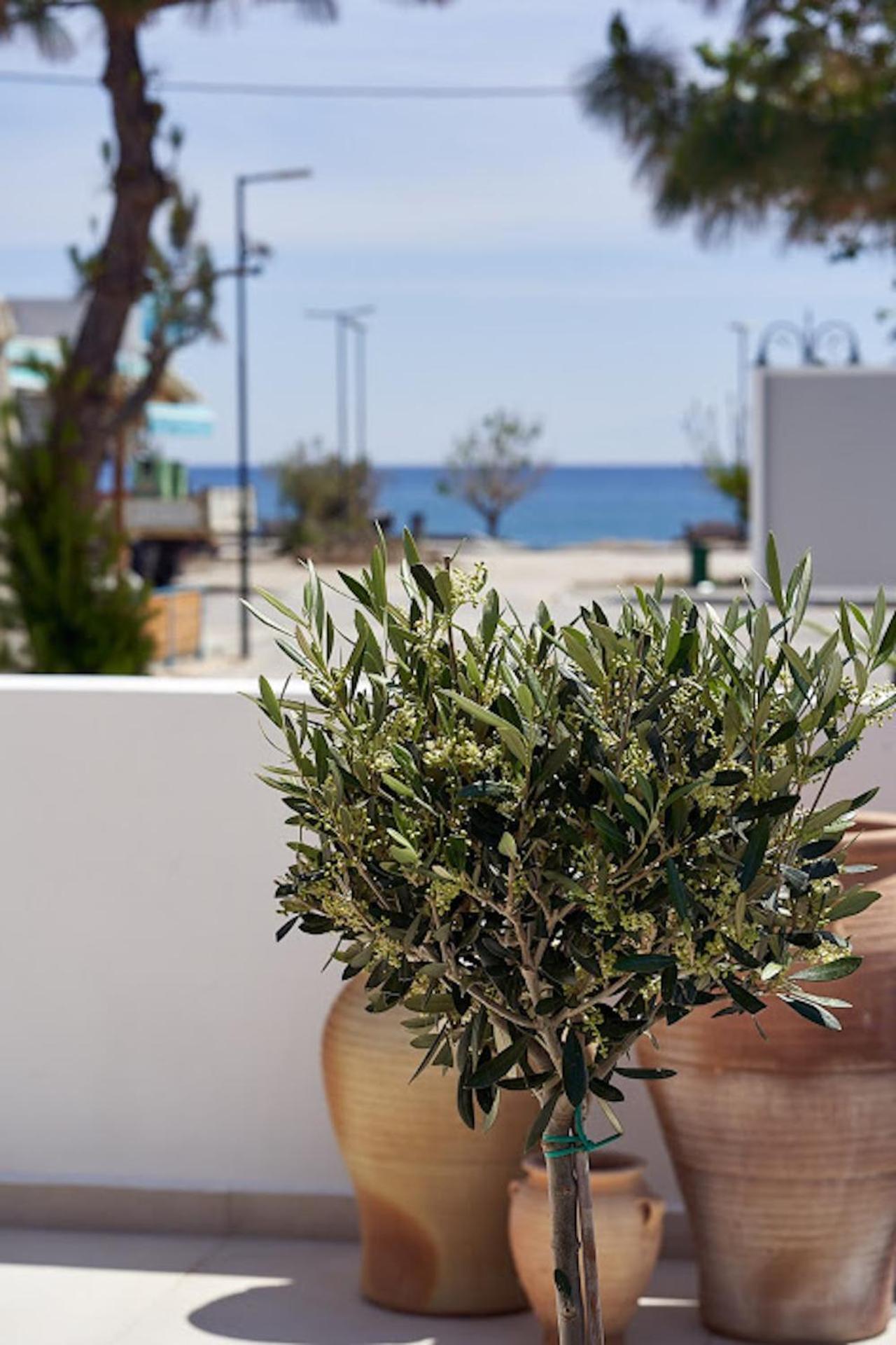 Sia Mare Seaside Apartments Faliraki Værelse billede